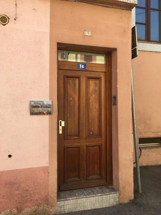 Le Gite 6 - Le Chateau Du Haut-Koenigsbourg Sélestat Kültér fotó